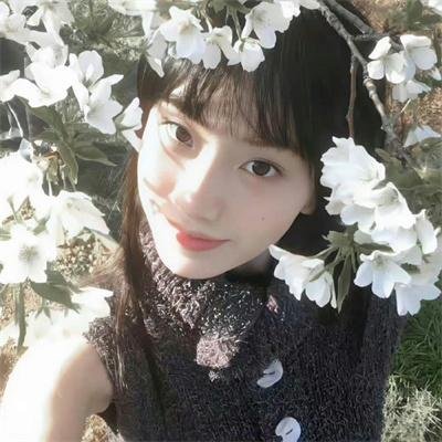 自然学院林第二季